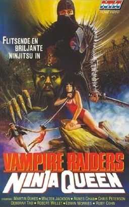 Vampire Raiders vs. Ninja Queen (missing thumbnail, image: /images/cache/257486.jpg)