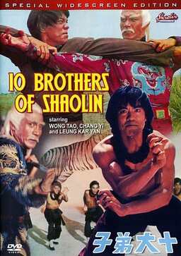 10 Brothers of Shaolin (missing thumbnail, image: /images/cache/258470.jpg)