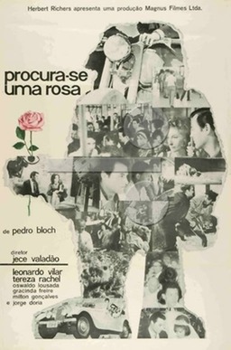 Procura-se Uma Rosa (missing thumbnail, image: /images/cache/258904.jpg)