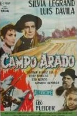 Campo arado (missing thumbnail, image: /images/cache/266052.jpg)