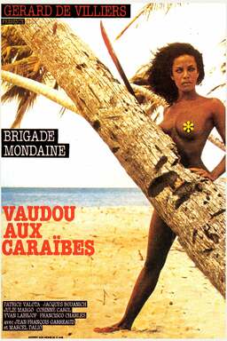 Brigade mondaine: Vaudou aux Caraïbes (missing thumbnail, image: /images/cache/267524.jpg)