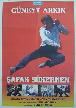 Şafak Sökerken (missing thumbnail, image: /images/cache/267864.jpg)