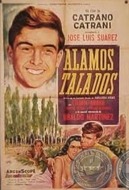 Álamos talados (missing thumbnail, image: /images/cache/268572.jpg)