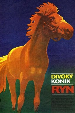 Divoký koník Ryn (missing thumbnail, image: /images/cache/273452.jpg)