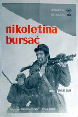 Nikoletina Bursac (missing thumbnail, image: /images/cache/274538.jpg)