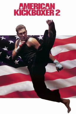 American Kickboxer 2 (missing thumbnail, image: /images/cache/276716.jpg)