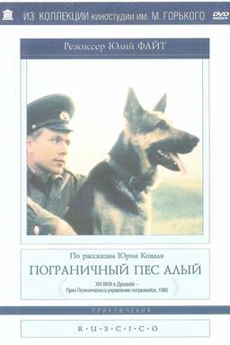 Border dog Alyi (missing thumbnail, image: /images/cache/278538.jpg)