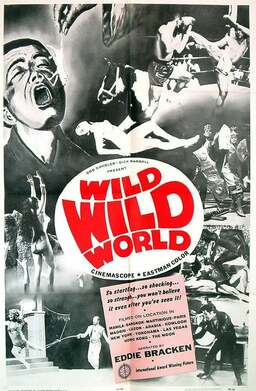 Wild Wild World (missing thumbnail, image: /images/cache/280420.jpg)