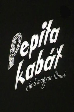 Pepita kabát (missing thumbnail, image: /images/cache/287016.jpg)
