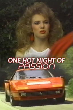 One Hot Night of Passion (missing thumbnail, image: /images/cache/290886.jpg)