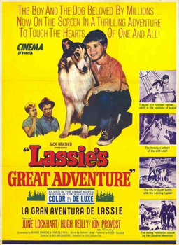 Lassie's Great Adventure (missing thumbnail, image: /images/cache/293102.jpg)
