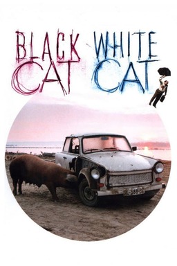 Black Cat, White Cat (missing thumbnail, image: /images/cache/299552.jpg)