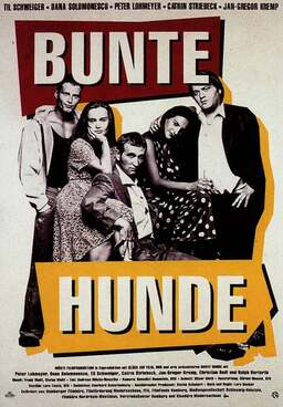 Bunte Hunde (missing thumbnail, image: /images/cache/303618.jpg)