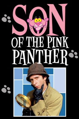 Son of the Pink Panther (missing thumbnail, image: /images/cache/306968.jpg)
