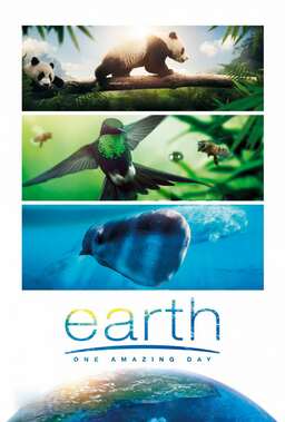 Earth: One Amazing Day (missing thumbnail, image: /images/cache/30728.jpg)