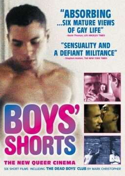 Boys' Shorts: The New Queer Cinema (missing thumbnail, image: /images/cache/309810.jpg)