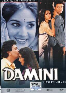 Damini (missing thumbnail, image: /images/cache/310000.jpg)