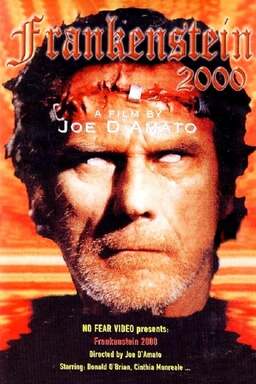 Return from Death: Frankenstein 2000 (missing thumbnail, image: /images/cache/311114.jpg)