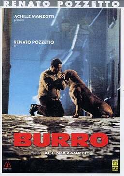 Burro (missing thumbnail, image: /images/cache/319102.jpg)