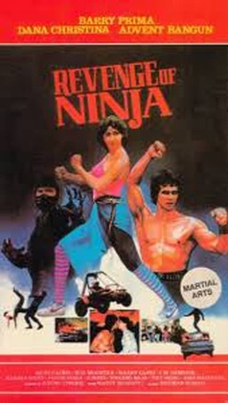 Revenge of the Ninja (missing thumbnail, image: /images/cache/320632.jpg)