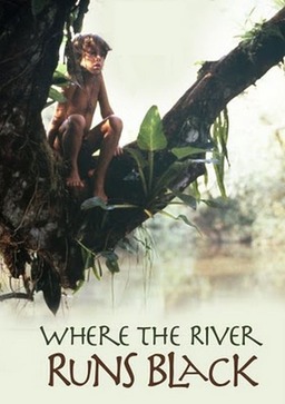 Where the River Runs Black (missing thumbnail, image: /images/cache/324102.jpg)