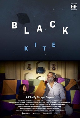 Black Kite (missing thumbnail, image: /images/cache/32830.jpg)