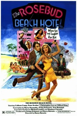 The Rosebud Beach Hotel (missing thumbnail, image: /images/cache/329758.jpg)