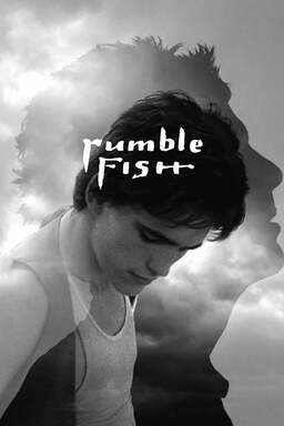 Rumble Fish (missing thumbnail, image: /images/cache/330284.jpg)