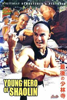 New Young Hero of Shaolin (missing thumbnail, image: /images/cache/331142.jpg)