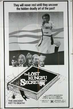 The Lost Kung Fu Secrets (missing thumbnail, image: /images/cache/333020.jpg)