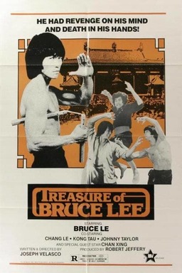Treasure of Bruce Lee (missing thumbnail, image: /images/cache/334922.jpg)