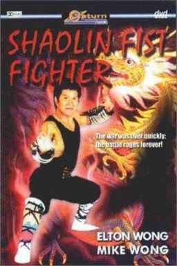 Shaolin Fist Fighter (missing thumbnail, image: /images/cache/337198.jpg)