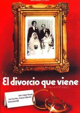 El divorcio que viene (missing thumbnail, image: /images/cache/338632.jpg)