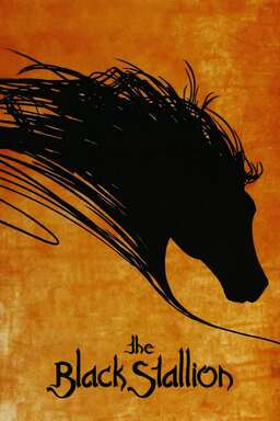 The Black Stallion (missing thumbnail, image: /images/cache/339054.jpg)