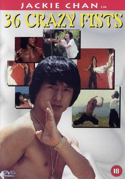 Jackie Chan and the 36 Crazy Fists (missing thumbnail, image: /images/cache/341624.jpg)