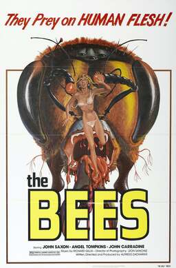 The Killer Bees (missing thumbnail, image: /images/cache/342814.jpg)