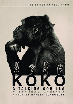 Koko: A Talking Gorilla (missing thumbnail, image: /images/cache/343426.jpg)