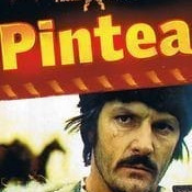 Pintea (missing thumbnail, image: /images/cache/344828.jpg)