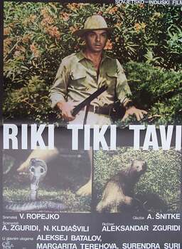 Rikki-Tikki-Tavi (missing thumbnail, image: /images/cache/345612.jpg)