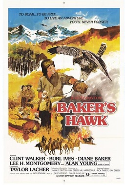 Baker's Hawk (missing thumbnail, image: /images/cache/346132.jpg)