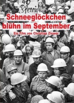 Schneeglöckchen blühn im September (missing thumbnail, image: /images/cache/347124.jpg)