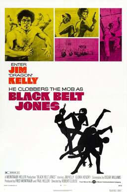 Black Belt Jones (missing thumbnail, image: /images/cache/347746.jpg)