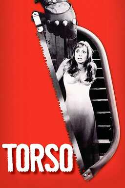 Torso (missing thumbnail, image: /images/cache/348762.jpg)