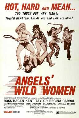 Angels' Wild Women (missing thumbnail, image: /images/cache/351840.jpg)