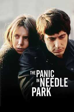 The Panic in Needle Park (missing thumbnail, image: /images/cache/353796.jpg)