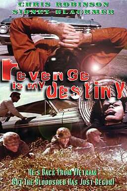 Revenge Is My Destiny (missing thumbnail, image: /images/cache/353956.jpg)