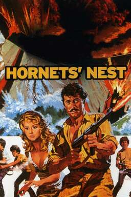 Hornets' Nest (missing thumbnail, image: /images/cache/354252.jpg)