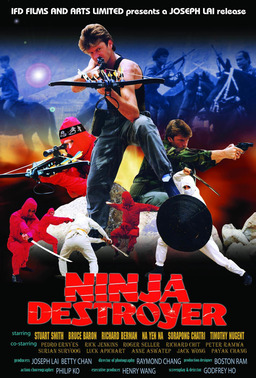 Ninja Destroyer (missing thumbnail, image: /images/cache/354656.jpg)