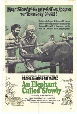 An Elephant Called Slowly (missing thumbnail, image: /images/cache/357292.jpg)