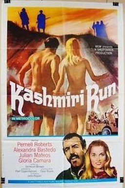 The Kashmiri Run (missing thumbnail, image: /images/cache/357632.jpg)